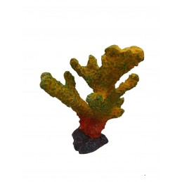 ΔΙΑΚΟΣΜΗΤΙΚΟ ΒΡΑΧΩΔΕΣ...