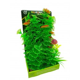 ΔΙΑΚΟΣΜΗΤΙΚΟ ΦΥΤΟ ΓΙΑ...