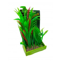 ΔΙΑΚΟΣΜΗΤΙΚΟ ΦΥΤΟ ΓΙΑ...