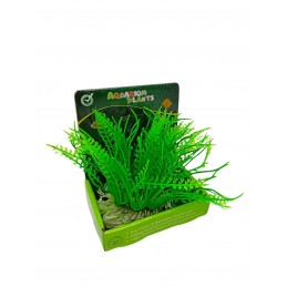 ΔΙΑΚΟΣΜΗΤΙΚΟ ΦΥΤΟ ΓΙΑ...