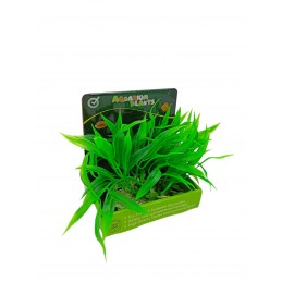 ΔΙΑΚΟΣΜΗΤΙΚΟ ΦΥΤΟ ΓΙΑ...