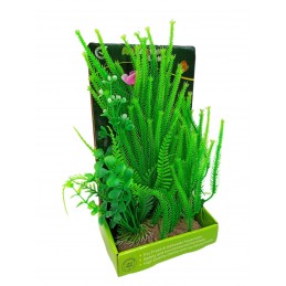 ΔΙΑΚΟΣΜΗΤΙΚΟ ΦΥΤΟ ΓΙΑ...