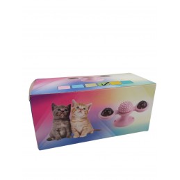 ΠΑΙΧΝΙΔΙ ΓΑΤΑΣ...