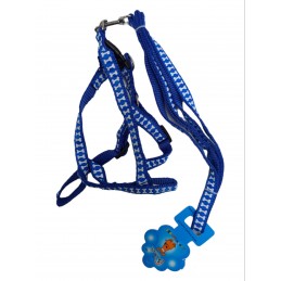 ΣΤΗΘΟΛΟΥΡΟ & ΛΟΥΡΑΚΙ ΣΚΥΛΟΥ...