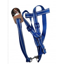 ΣΤΗΘΟΛΟΥΡΟ & ΛΟΥΡΙ ΣΚΥΛΟΥ...