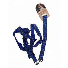 ΣΤΗΘΟΛΟΥΡΟ & ΛΟΥΡΙ ΣΚΥΛΟΥ...