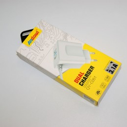 ΦΟΡΤΙΣΤΗΣ LIGHTNING ΜΕ 2...