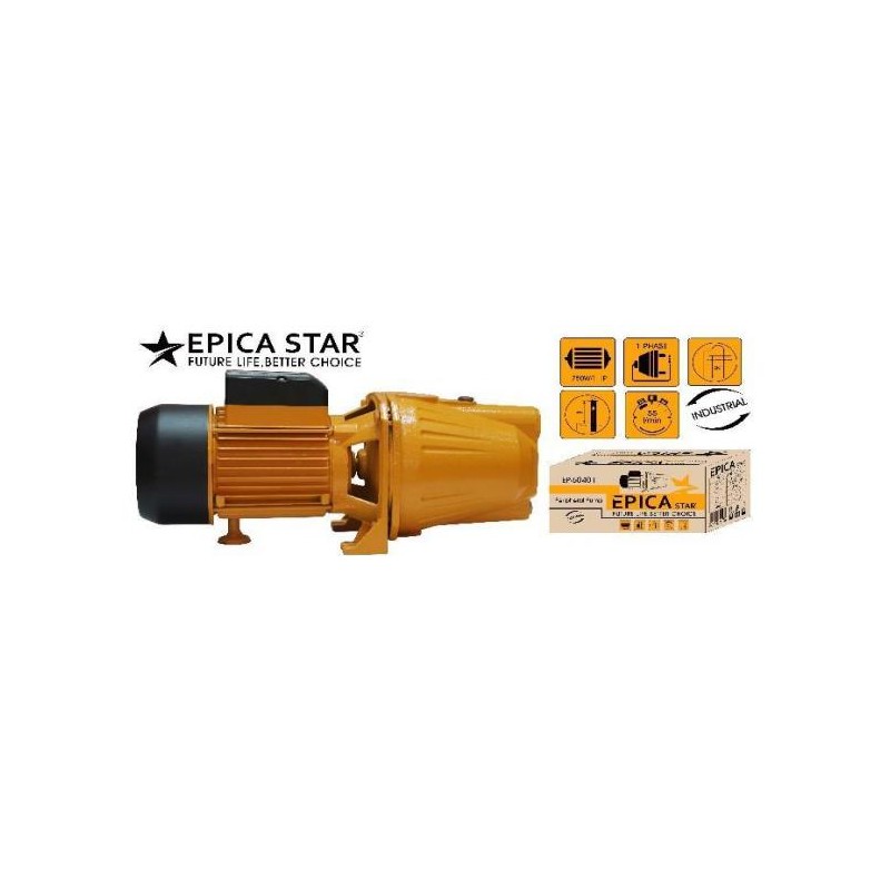 EPICA STAR (18)