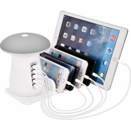 ΠΟΛΥΦΟΡΤΙΣΤΗΣ ΜΑΝΙΤΑΡΙ ΜΕ 5...