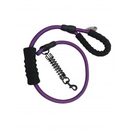 ΟΔΗΓΟΣ ΣΚΥΛΩΝ ΜΕ ΕΛΑΤΗΡΙΟ...