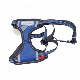 ΣΑΜΑΡΑΚΙ & ΛΟΥΡΙ ΣΚΥΛΟΥ...