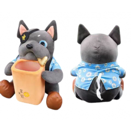 ΘΗΚΗ ΓΙΑ ΤΟ ΕΣΩΤΕΡΙΚΟ ΤΟΥ...