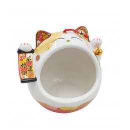 ΔΙΑΚΟΣΜΗΤΙΚΟ "ΤΥΧΕΡΗ ΓΑΤΑ"...