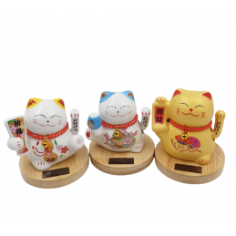 ΔΙΑΚΟΣΜΗΤΙΚΟ "ΤΥΧΕΡΗ ΓΑΤΑ"...