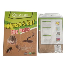 QIANGSHUN ΠΟΝΤΙΚΟΠΑΓΙΔΑ...