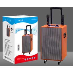 ΦΟΡΗΤΟ ΗΧΕΙΟ/WOOFER ΚΑΡΑΟΚΕ...