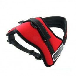 copy of ΣΑΜΑΡΑΚΙ ΣΚΥΛΟΥ...