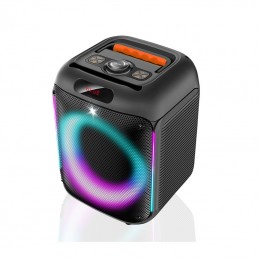 ΦΟΡΗΤΟ ΗΧΕΙΟ 6.5" ΜΕ...