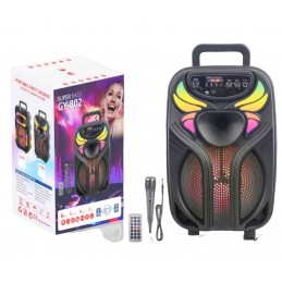 ΦΟΡΗΤΟ ΗΧΕΙΟ 8'' SUPER BASS...