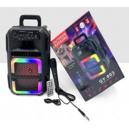 ΦΟΡΗΤΟ ΗΧΕΙΟ 8'' SUPER BASS...