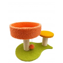 ΟΝΥΧΟΔΡΟΜΙΟ ΓΑΤΑΣ ΜΕ 2...