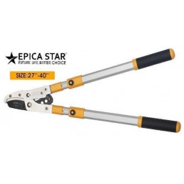 copy of ΨΑΛΙΔΙ ΚΛΑΔΕΜΑΤΟΣ...