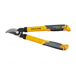 copy of ΨΑΛΙΔΙ ΚΛΑΔΕΜΑΤΟΣ...