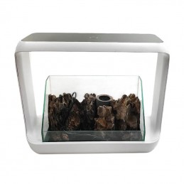 ΚΙΤ ΒΡΑΧΟΚΗΠΟΥ ΜΕ TERRARIUM...