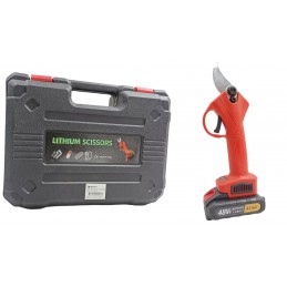 ΨΑΛΙΔΙ ΚΛΑΔΕΜΑΤΟΣ ΜΕ...