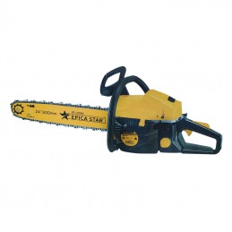 copy of EPICA STAR...