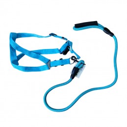 ΣΤΗΘΟΛΟΥΡΟ & ΛΟΥΡΙ ΣΚΥΛΟΥ...