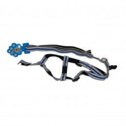 ΛΟΥΡΙ+ΣΤΗΘΟΛΟΥΡΟ ΣΚΥΛΟΥ...