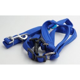 ΣΤΗΘΟΛΟΥΡΟ ΚΑΙ ΛΟΥΡΑΚΙ...