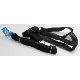 ΣΤΗΘΟΛΟΥΡΟ ΚΑΙ ΛΟΥΡΑΚΙ...