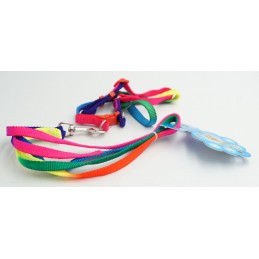 ΣΤΗΘΟΛΟΥΡΟ ΚΑΙ ΛΟΥΡΑΚΙ...