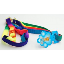 ΣΤΗΘΟΛΟΥΡΟ ΚΑΙ ΛΟΥΡΑΚΙ...