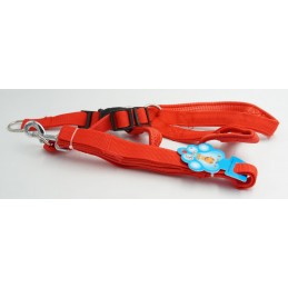 ΣΤΗΘΟΛΟΥΡΟ+ΛΟΥΡΑΚΙ ΣΚΥΛΟΥ...