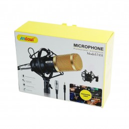 ΕΠΑΓΓΕΛΜΑΤΙΚΟ ΜΙΚΡΟΦΩΝΟ ΜΕ...