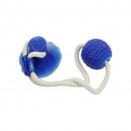 ΠΑΙΧΝΙΔΙ ΣΚΥΛΟΥ ΜΕ ΒΕΝΤΟΥΖΑ...