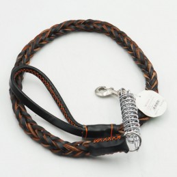 ΟΔΗΓΟΣ ΣΚΥΛΩΝ ΜΕ ΕΛΑΤΗΡΙΟ...