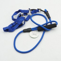 ΣΤΗΘΟΛΟΥΡΟ & ΛΟΥΡΑΚΙ ΣΚΥΛΟΥ...