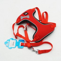 ΣΑΜΑΡΑΚΙ & ΛΟΥΡΙ ΣΚΥΛΟΥ...