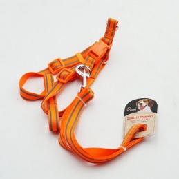 ΣΤΗΘΟΛΟΥΡΟ & ΛΟΥΡΑΚΙ ΣΚΥΛΟΥ...