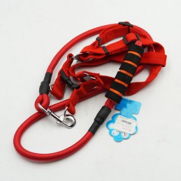 ΣΤΗΘΟΛΟΥΡΟ & ΛΟΥΡΙ ΣΚΥΛΟΥ...